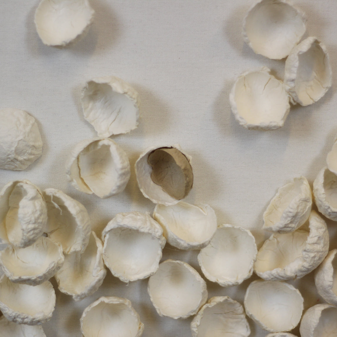 CUADRO COPOS EN SUSPENSION 80x120