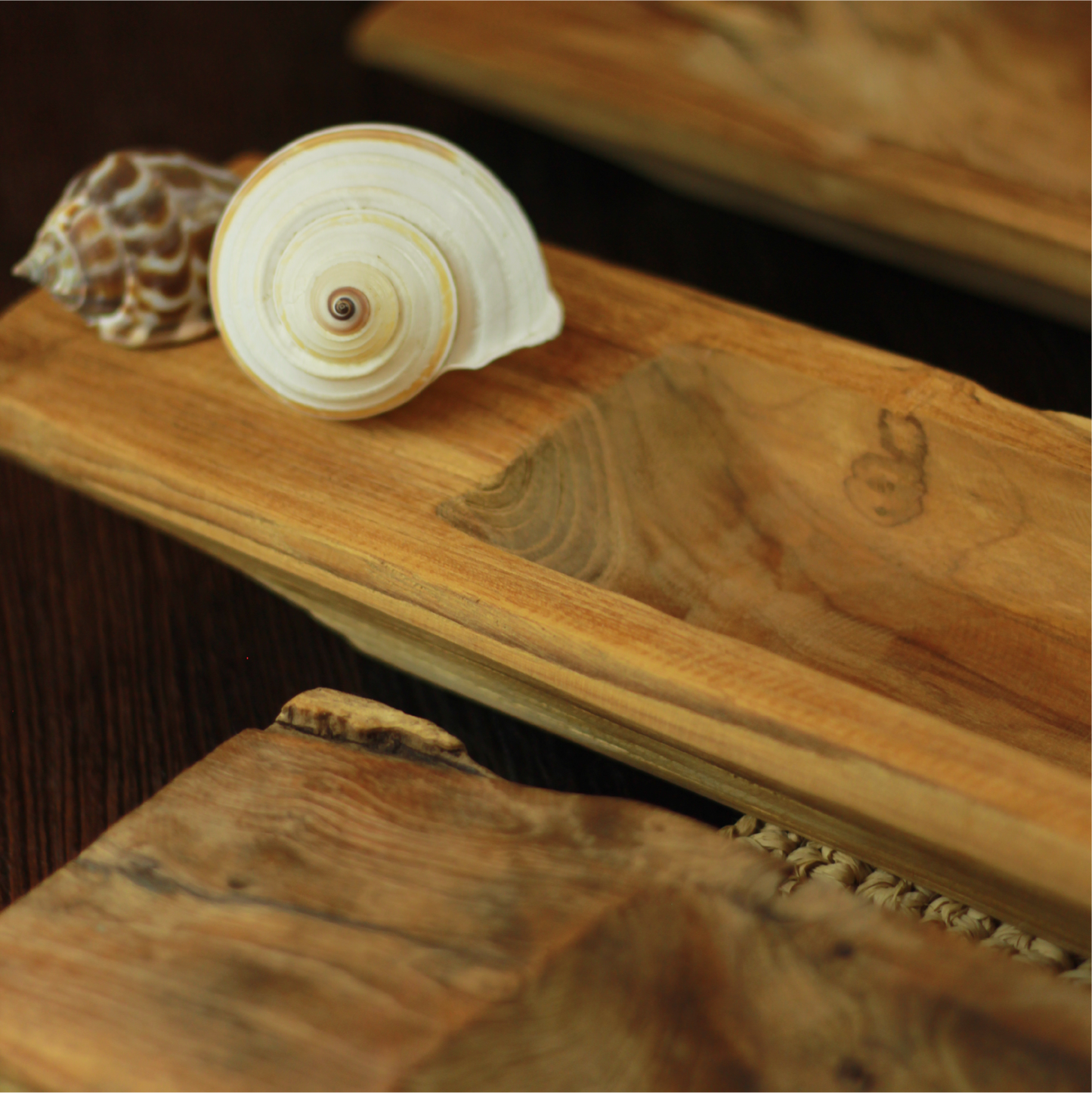 Fuente Sumber Natural