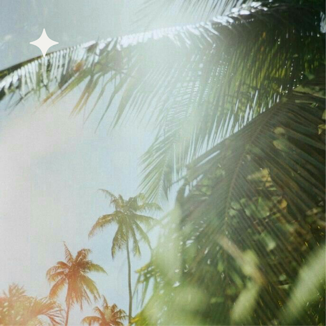 MEGA DESCUENTOS CYBER