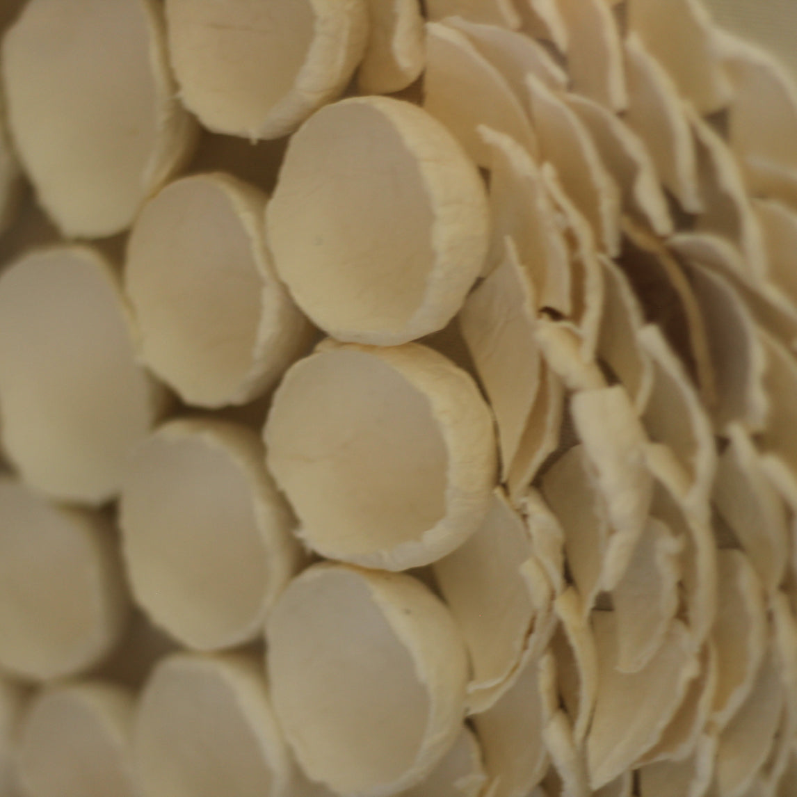 CUADRO CAPAS EN ESCAMAS 60X60