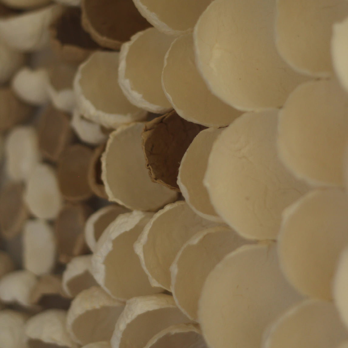 CUADRO COPOS EN MOVIMIENTO 60x60