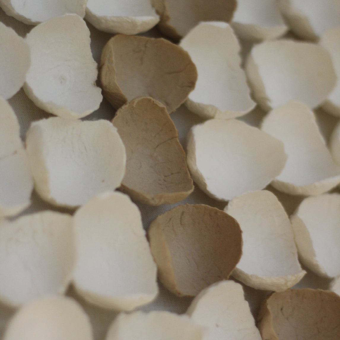 CUADRO ARMONIA 40X120