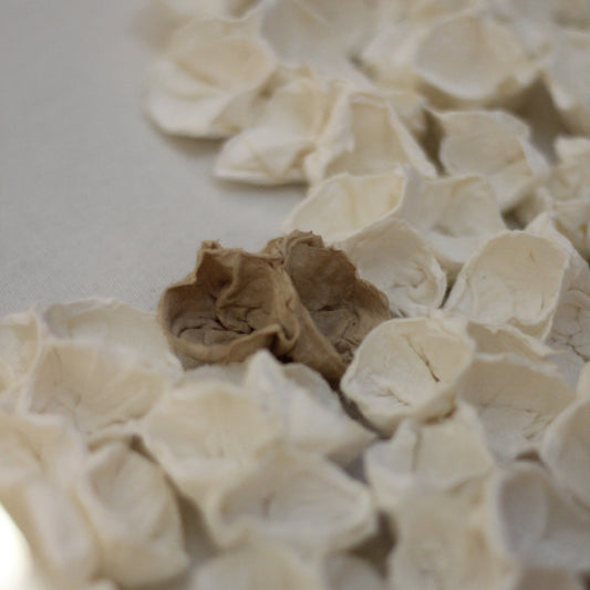 CUADRO COPOS DE AIRE 40X120