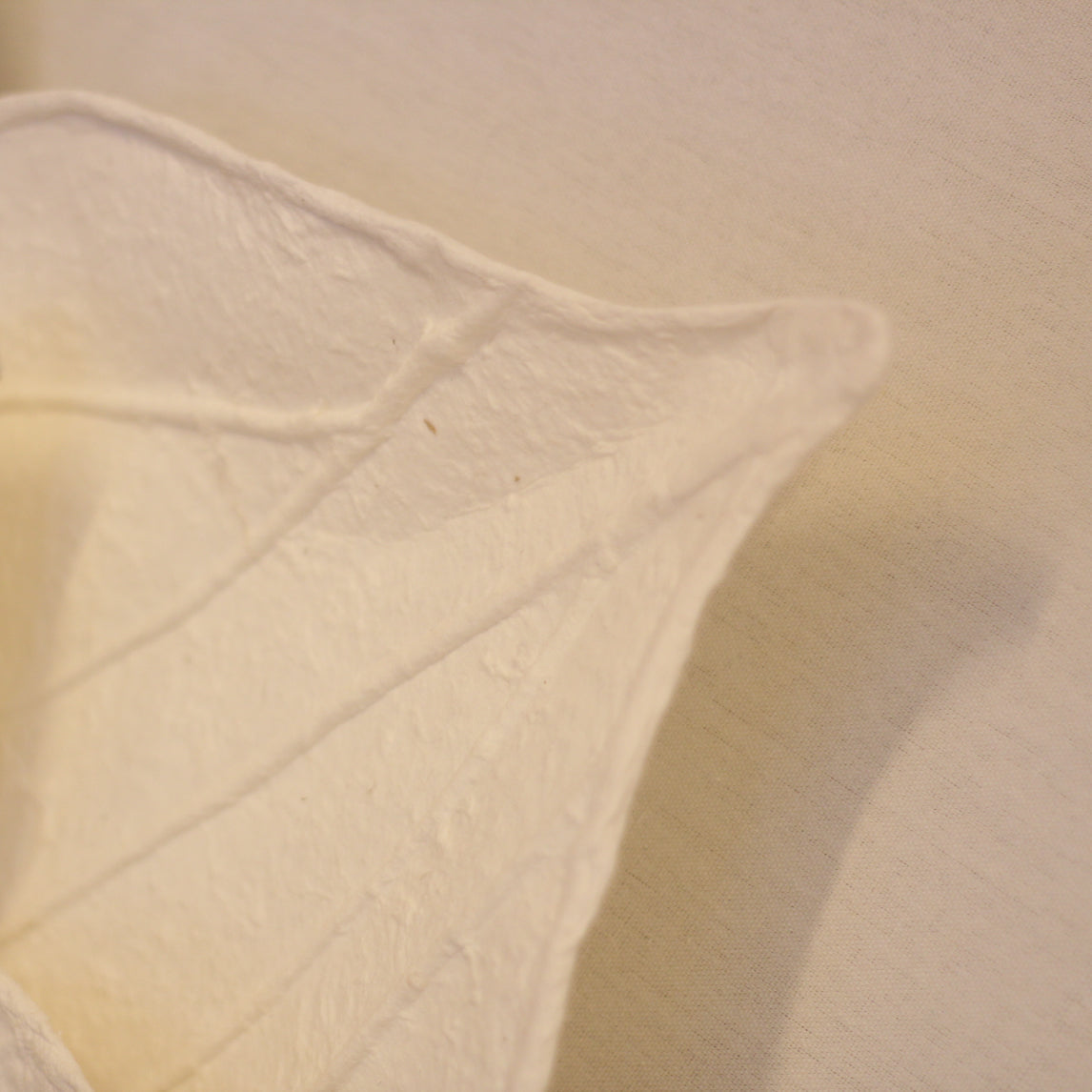 CUADRO HOJAS DE LA VIDA 120x120