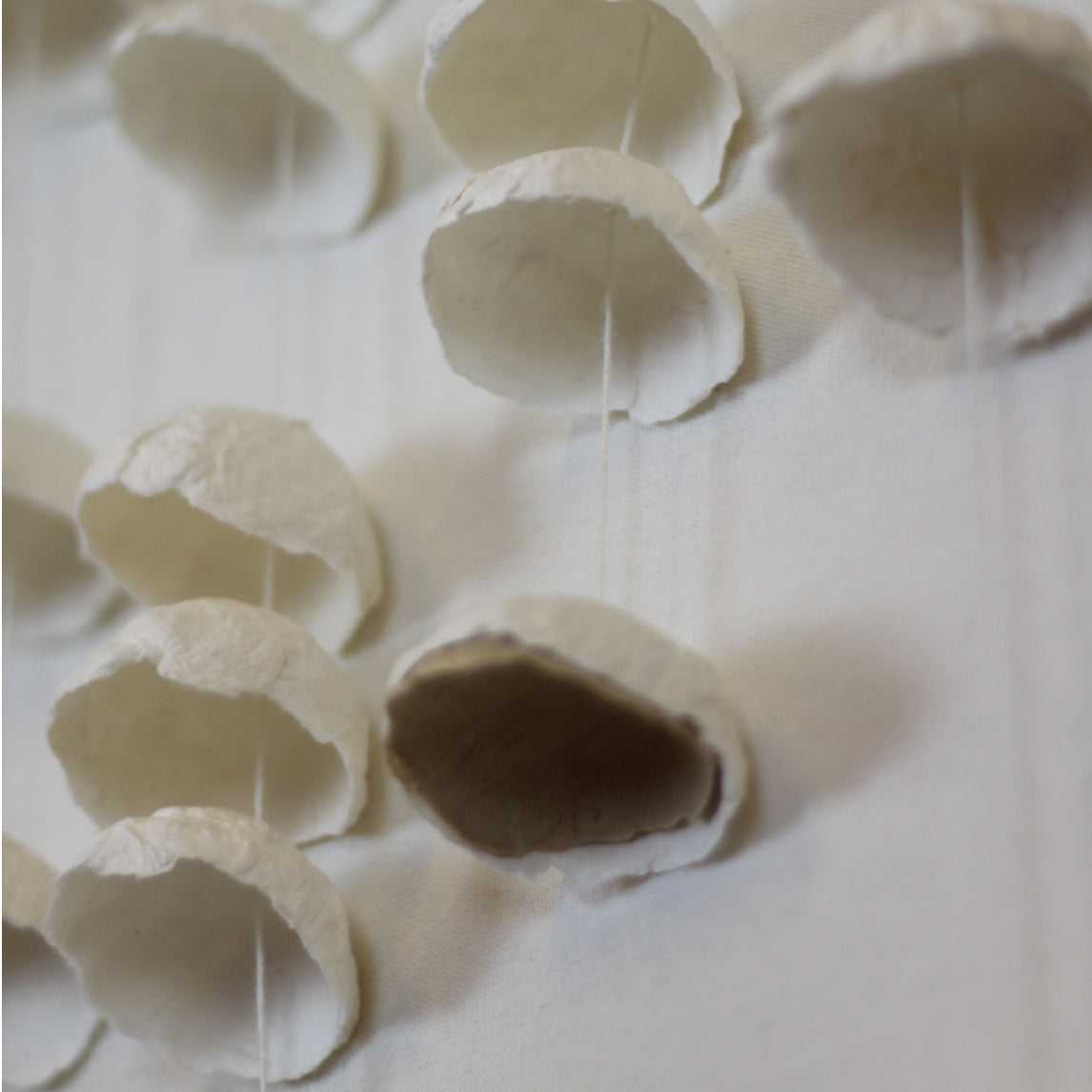 CUADRO COPOS EN SUSPENSION 80x120