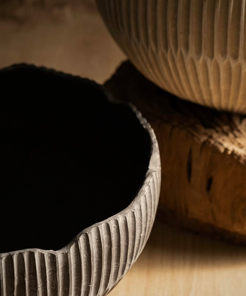 VASIJA POT PRE-VENTA (28/02/2026)