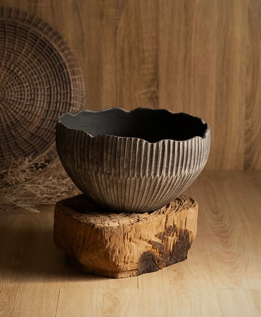 VASIJA POT PRE-VENTA (28/02/2026)