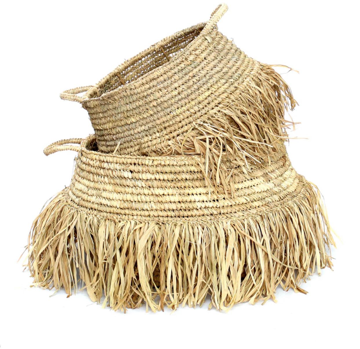 Canasto Gurita