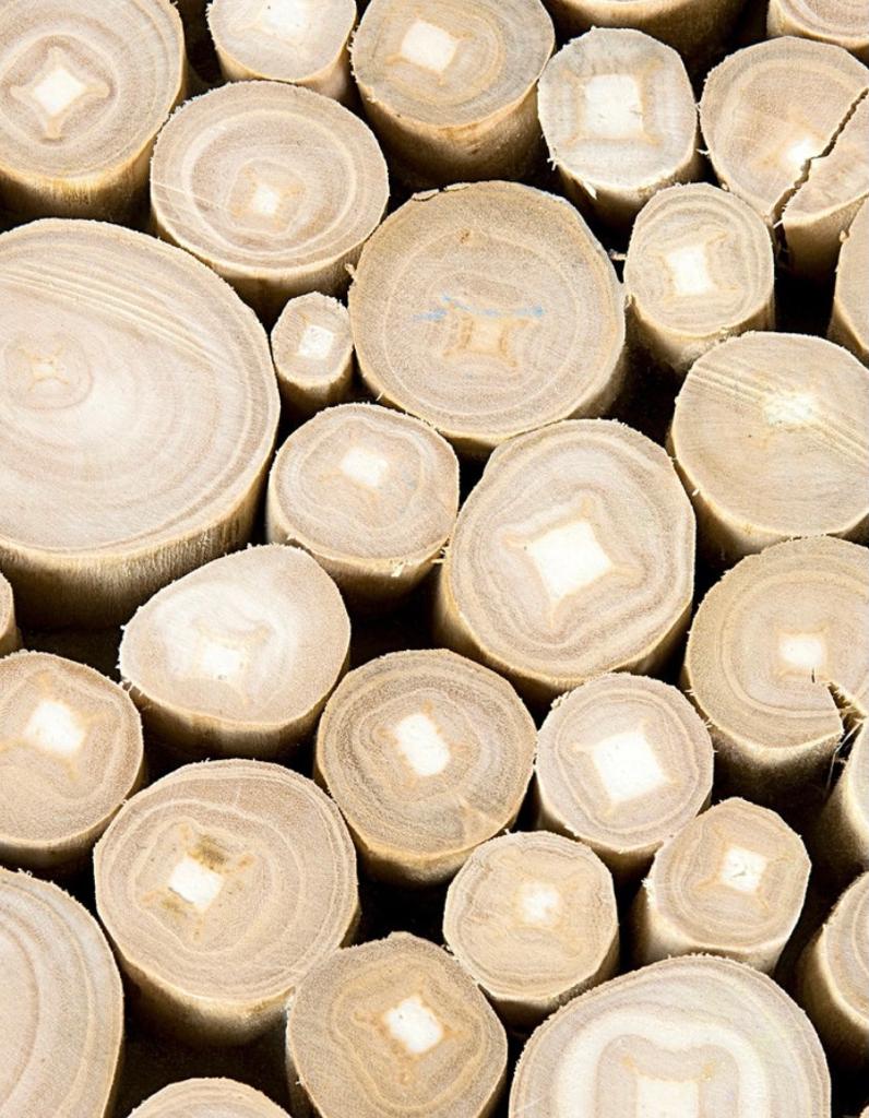 Mesa De Centro Belalai White Wash PRE-VENTA (28/02/2026)